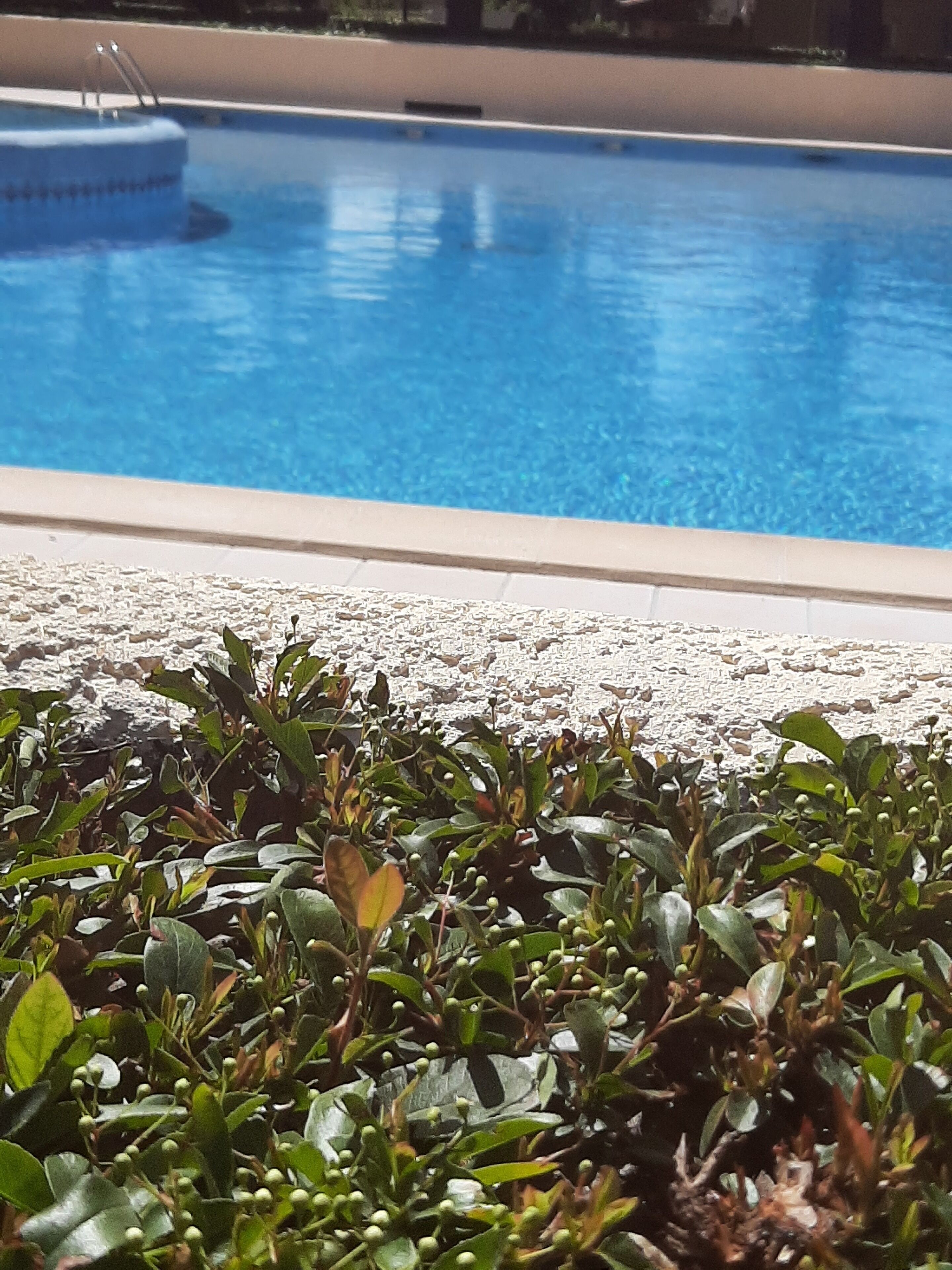 حمّام سباحة خارجي