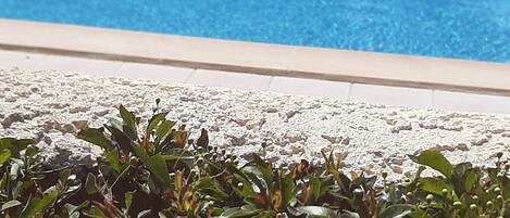 حمّام سباحة خارجي