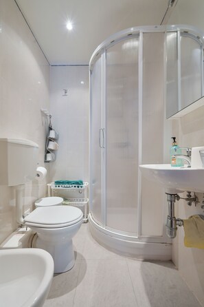 Shower, hair dryer, bidet, towels