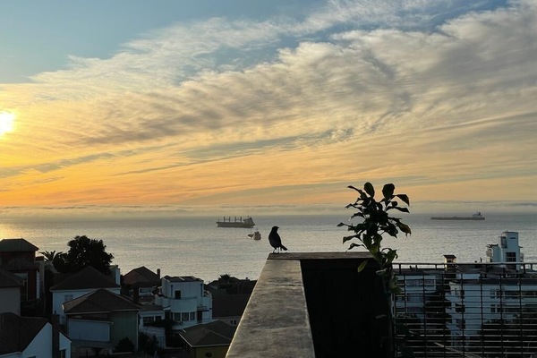 Terraza en la azotea