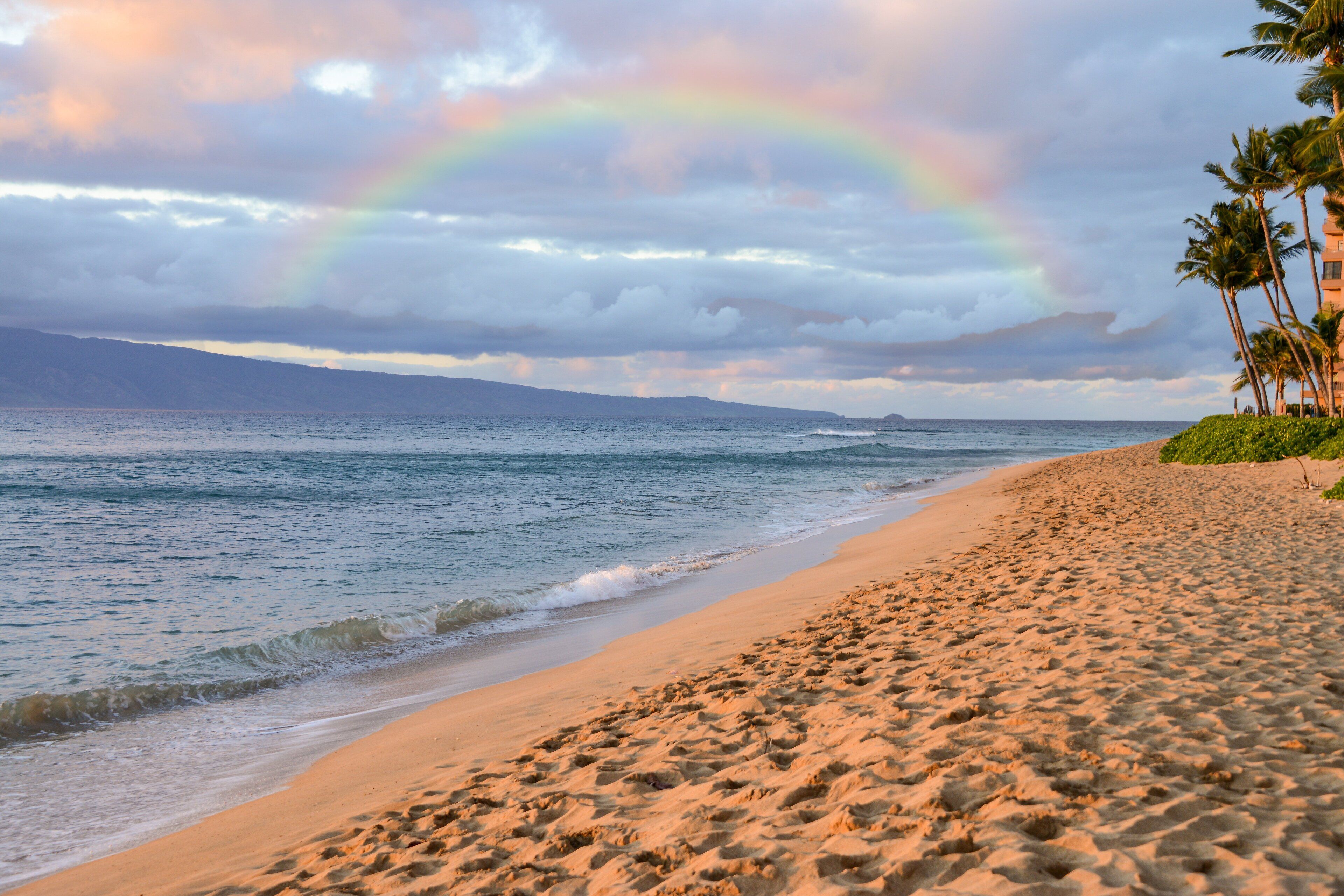 A beach with a rainbow, palm trees, and a calm sea.