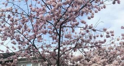 Comfortable Studio Apartment