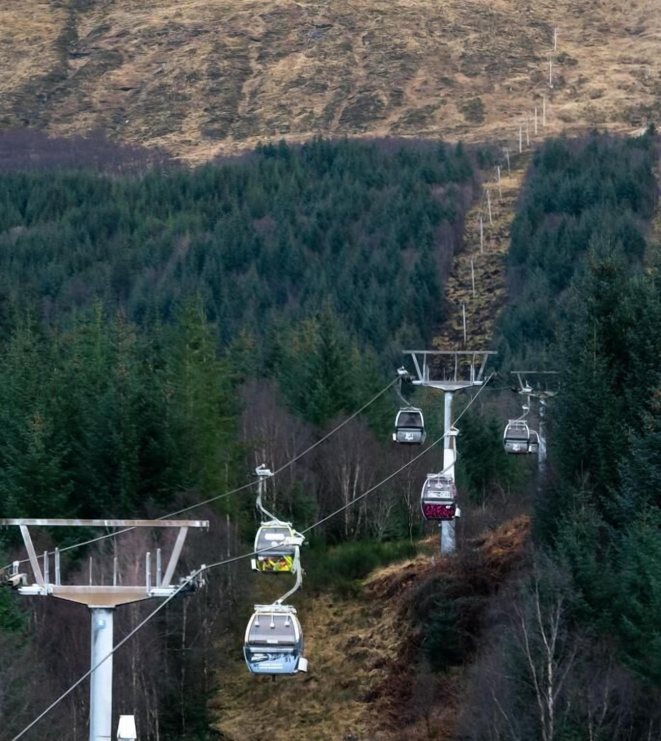 Eine Seilbahnanlage in bewaldeter Landschaft mit freiem Blick auf die Seile und Gondeln.