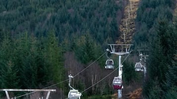 Sistema de teleférico en un área boscosa, con una vista despejada de los cables y los vehículos.
