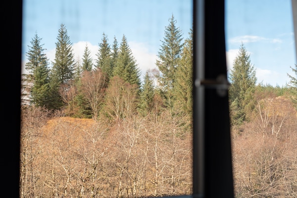 Double Room | View from room