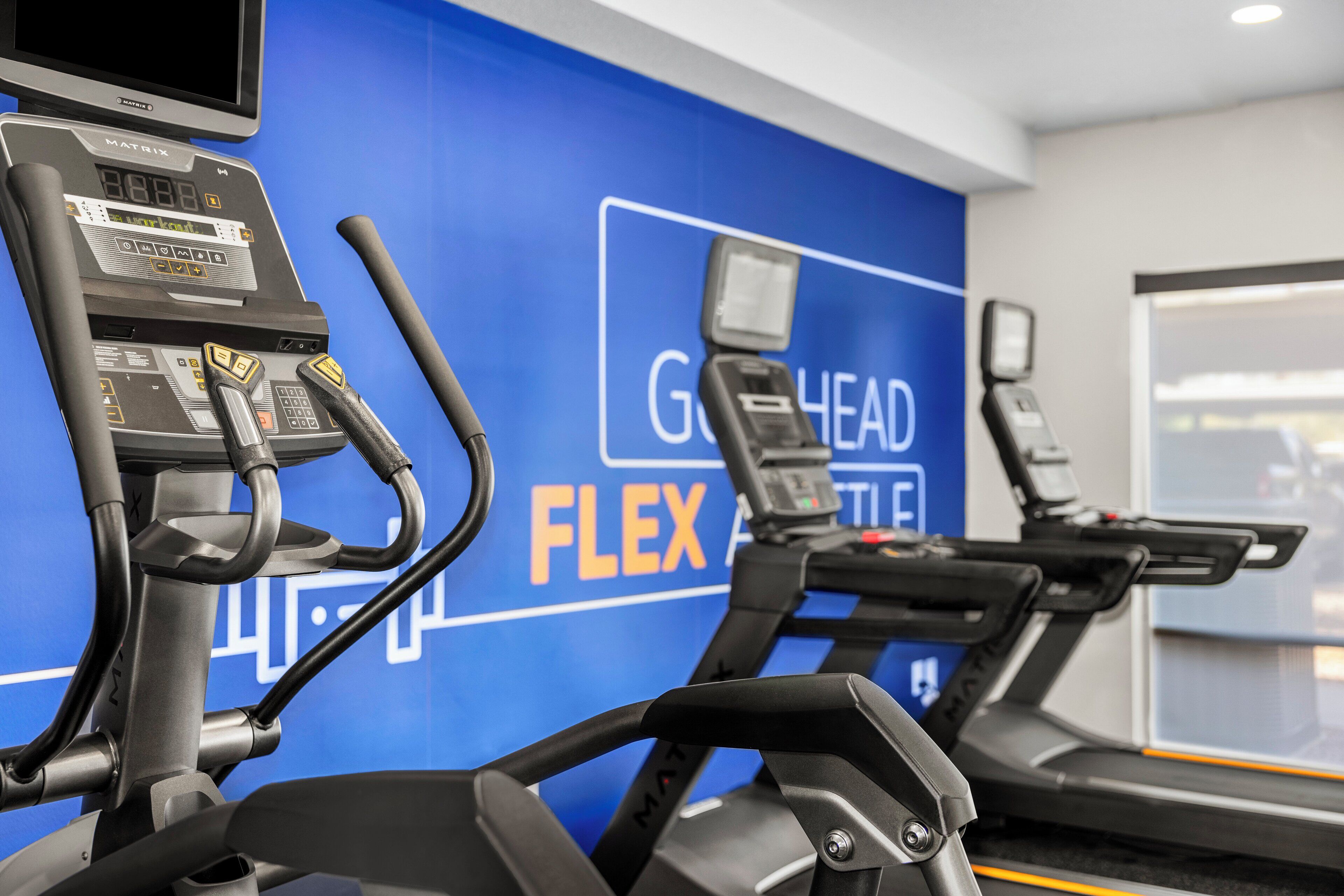 A gym with exercise equipment, including treadmills and a stationary bike, against a blue wall with the text "GOLD HEAD FLEX".