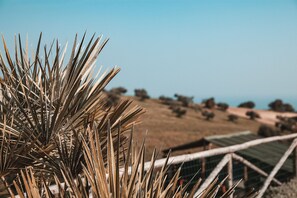 Unclassified image, 4 of 51, button