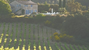 A stone house with blue shutters, surrounded by a vineyard and a statue in the background. - Stone house with beautiful swimming pool and enchanting panorama (Seguret)