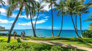 A pathway lined with palm trees leading to a beach with clear blue water and a distant island. - Elua 2303: Gorgeous Luxe Condo, Ocean Sunset Views (Kihei)