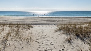 A beach with sand, seaweed, and footprints leading to the water. - Blount Cottage-Oceanfront, Pet Friendly Home in Atlantic Beach, NC (Atlantic Beach)