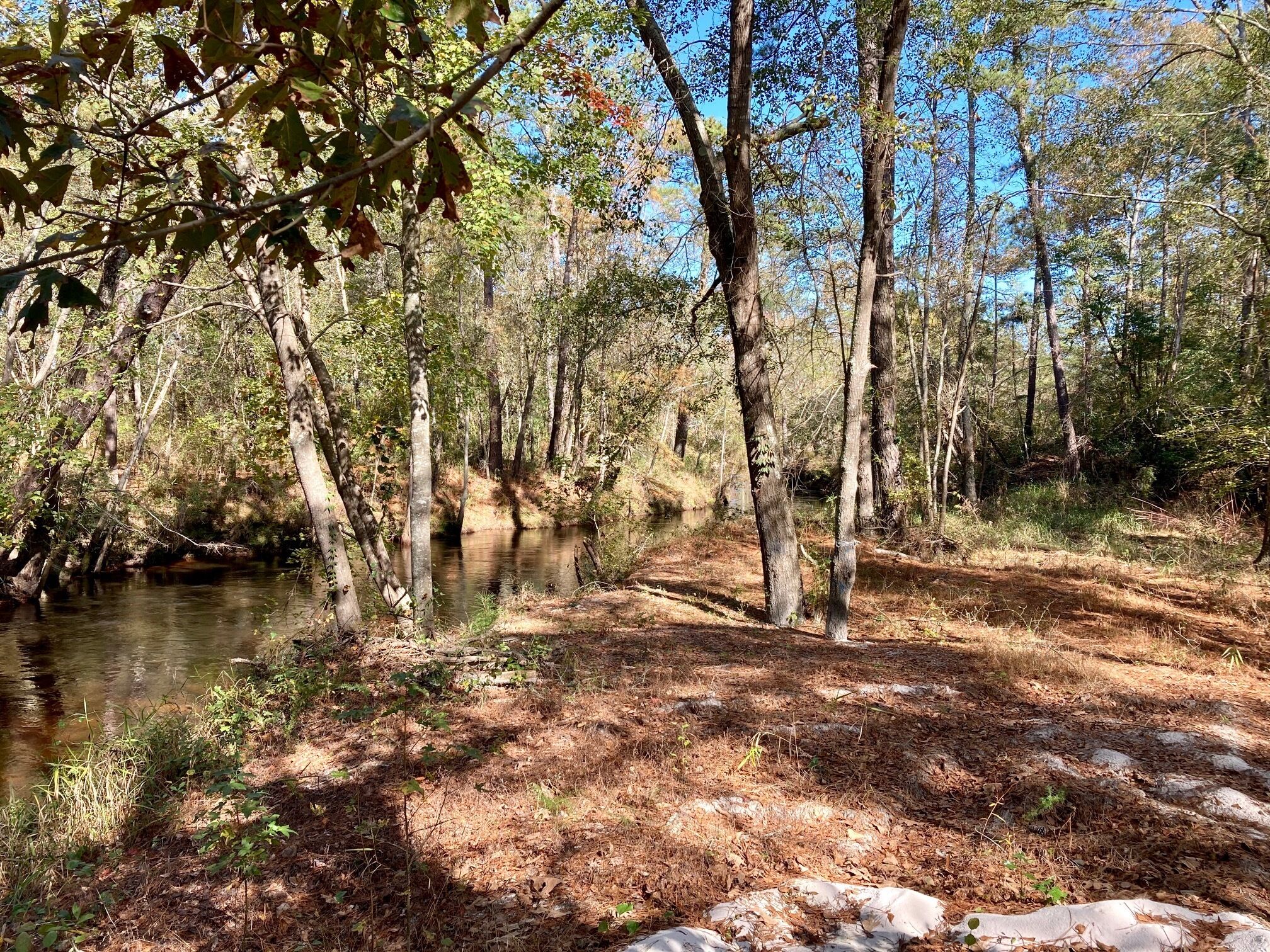 Uma área arborizada com um rio calmo, rodeada por árvores e uma trilha de terra.
