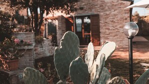 Un jardín con cactus y un edificio de ladrillo al fondo.