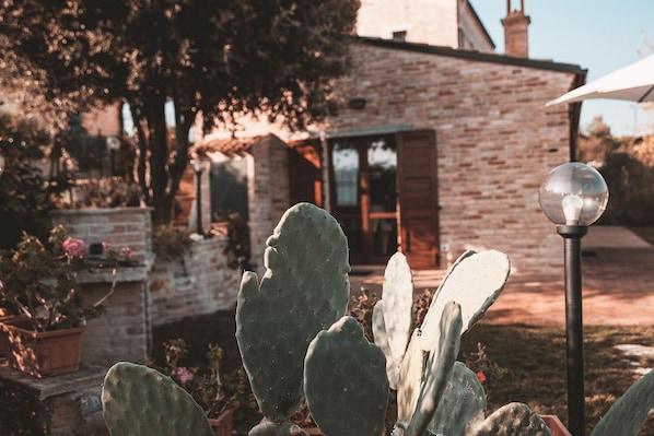 Détail de l’extérieur