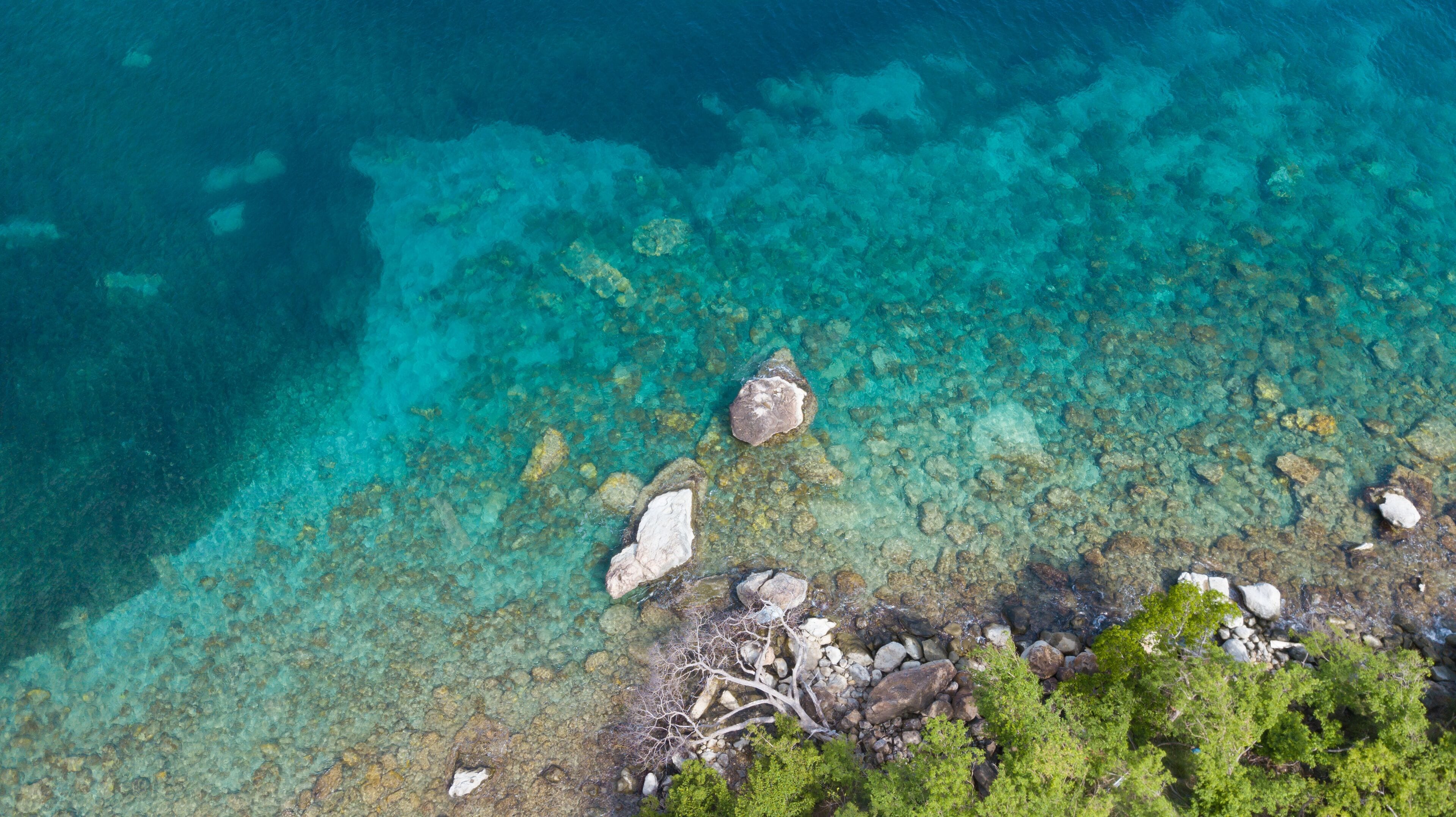 A clear aerial view of a coastal area with visible rocky formations and sparse vegetation.
