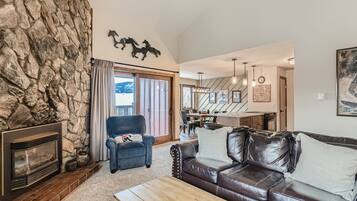 TV, fireplace, DVD player