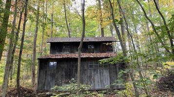 Escape to a cozy cabin nestled among tall trees with stunning autumn foliage.
