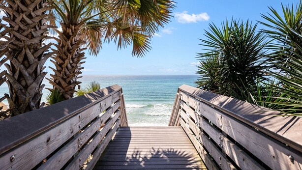 Un muelle de madera que conduce a una playa con palmeras y vistas al océano.