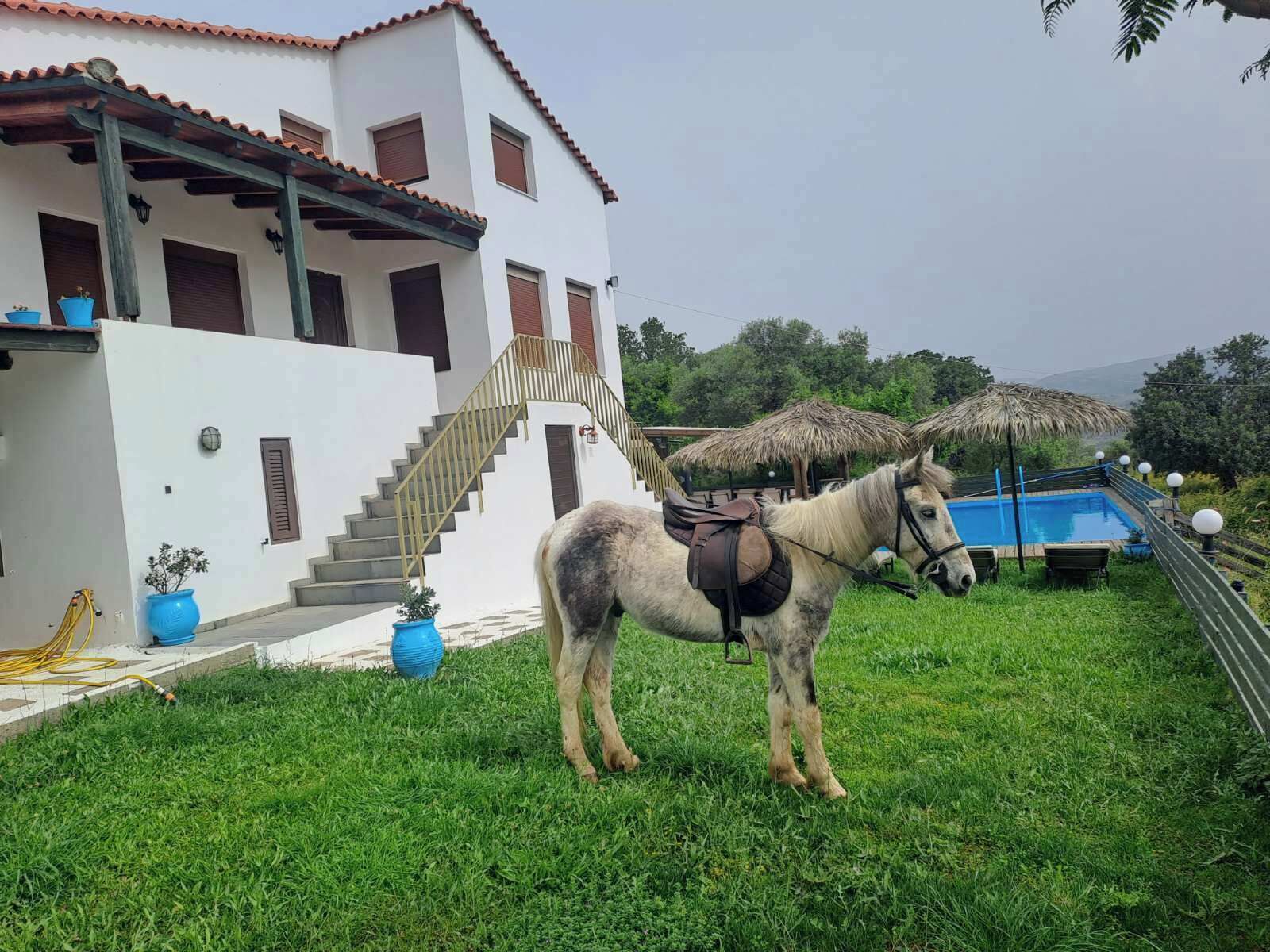 Un edificio blanco con techo de tejas rojas, una escalera y un caballo con arnés.