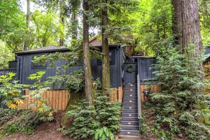 Exterior - The Black Nest~Contemporary Redwood Haven! WiFi/HotTub/Pup (Guerneville)