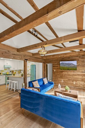 Smart TV, fireplace, books, stereo