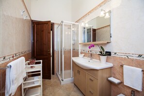 Shower, hair dryer, bidet, towels
