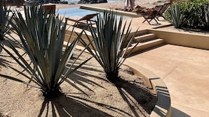 A pool area with a view of the ocean, surrounded by plants and a few lounge chairs.