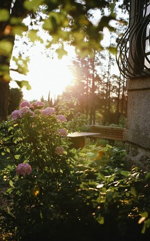 Exterior - Lugar da Pedra Alta (Gouveia)