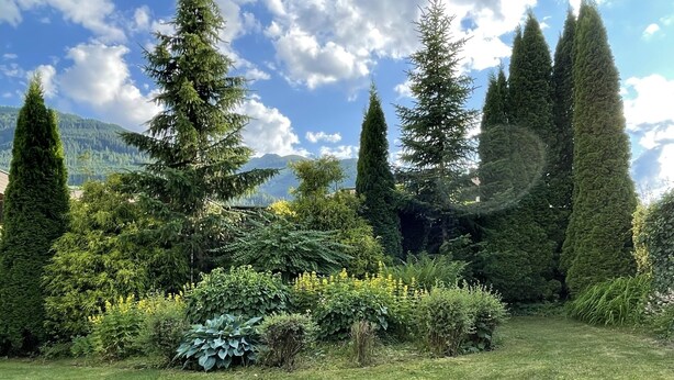 A well-maintained garden with various trees and shrubs, a grassy lawn, and a mountainous backdrop.