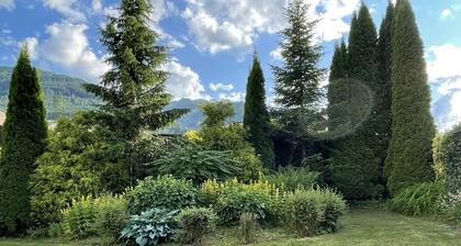 Sauna apartment "Landhaus Zell am See" in Niedernsill. Pet friendly!