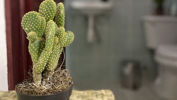 Habitación doble | Baño | Regadera, toallas, jabón, shampoo