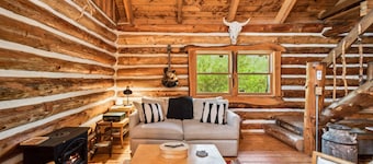 Cozy Log Cabin on 15 acres, with private lake, 1 mile from Lake Michigan