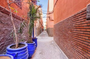 Stroll through this charming alleyway lined with traditional buildings and lush greenery.