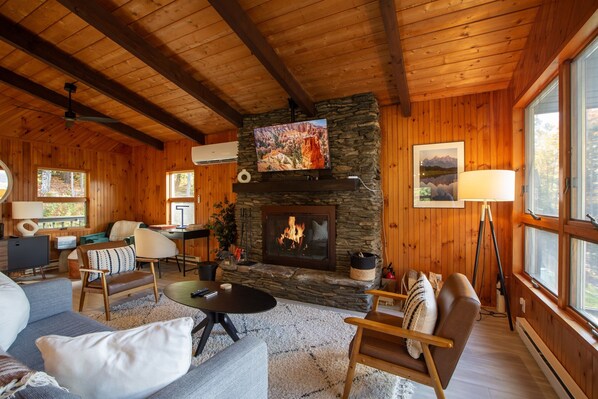Smart TV, fireplace, books, computer monitors