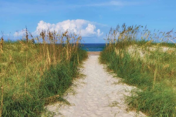 Beach - Forest Ridge K7 Summa (Fernandina Beach)