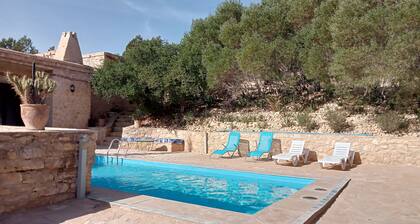 The kasbah of the olive grove estate