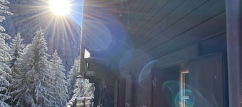 Traditional, cosy Chalet - family sized, facing the forest