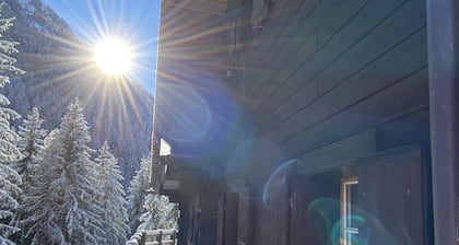 Traditional, cosy Chalet - family sized, facing the forest