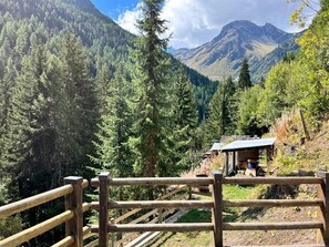 Property grounds - Traditional, cosy Chalet - family sized, facing the forest (Grimentz)