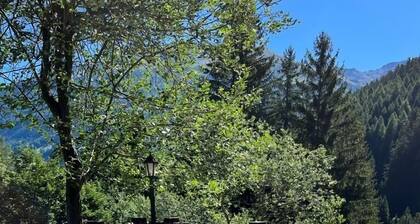 Traditional, cosy Chalet - family sized, facing the forest