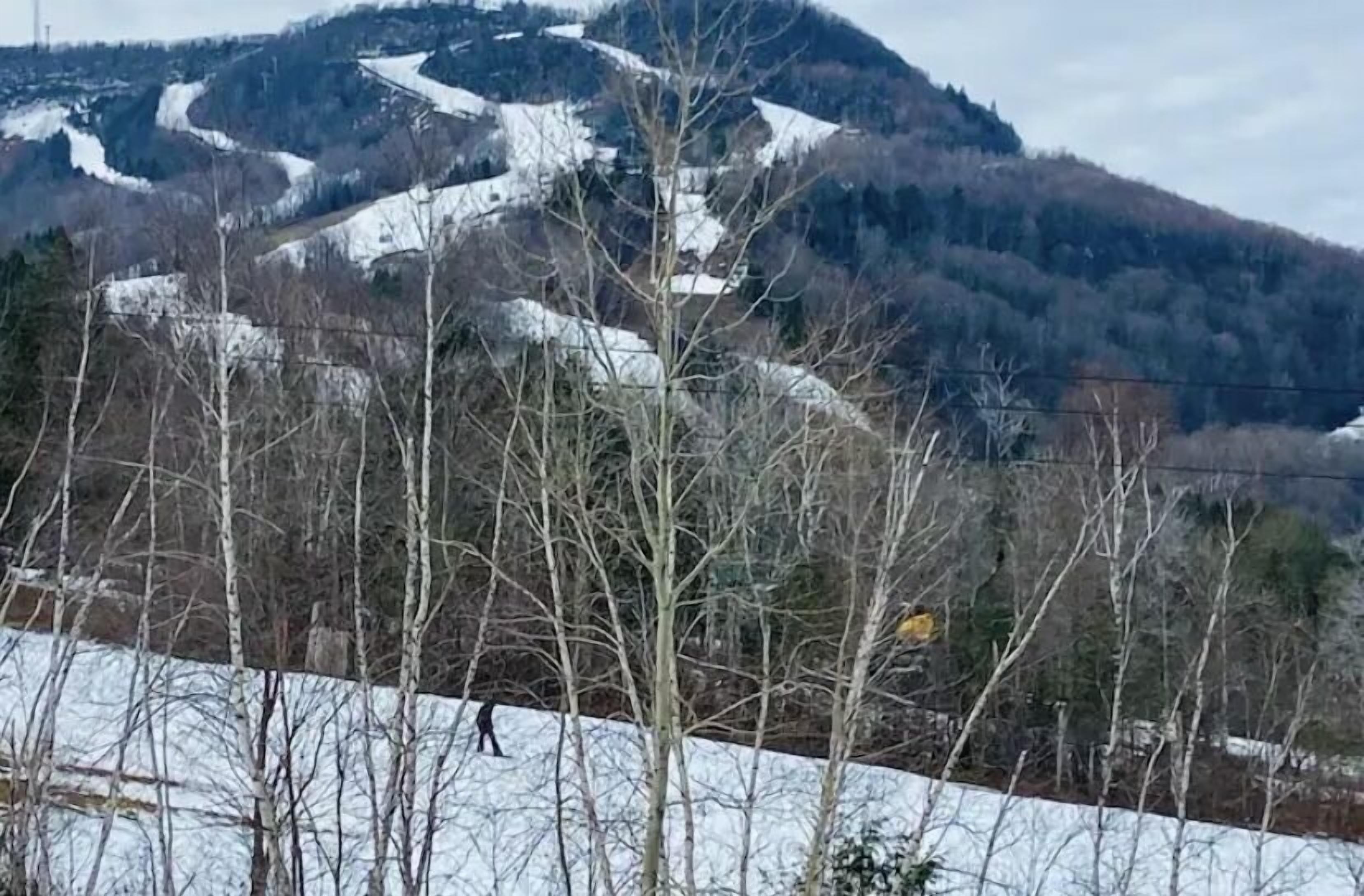 A mountainous landscape with a snow-covered slope and bare trees.