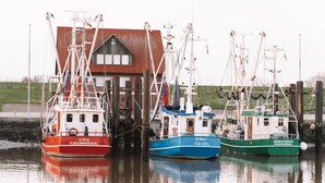 Three fishing boats docked at a pier with a building in the background.