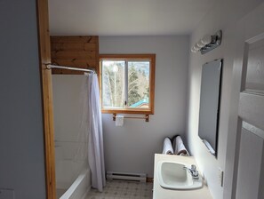 Panoramic Cabin, Bay View | Bathroom | Combined shower/tub, hair dryer, towels, soap