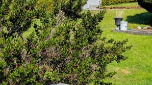 A sign welcoming visitors to Cliff Haven on the Bay, with a path leading to a cottage. - Cliff Haven on the Bay (Alert Bay)