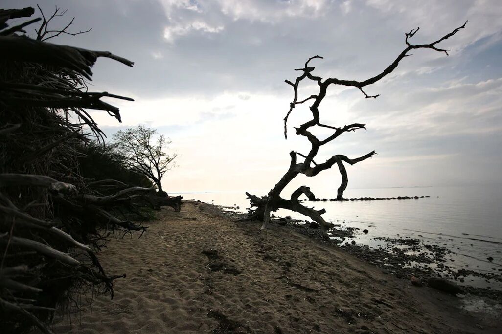 Beach nearby, sun loungers