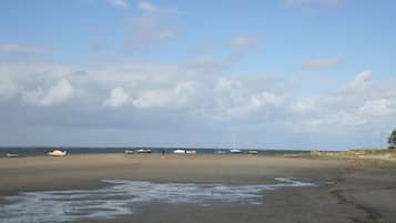 Playa en los alrededores y camastros