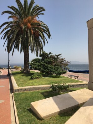 A landscaped area with a palm tree, a bench, and a view of the sea.