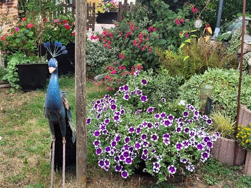 Charming gîte for 6 people with access to a heated and covered swimming pool