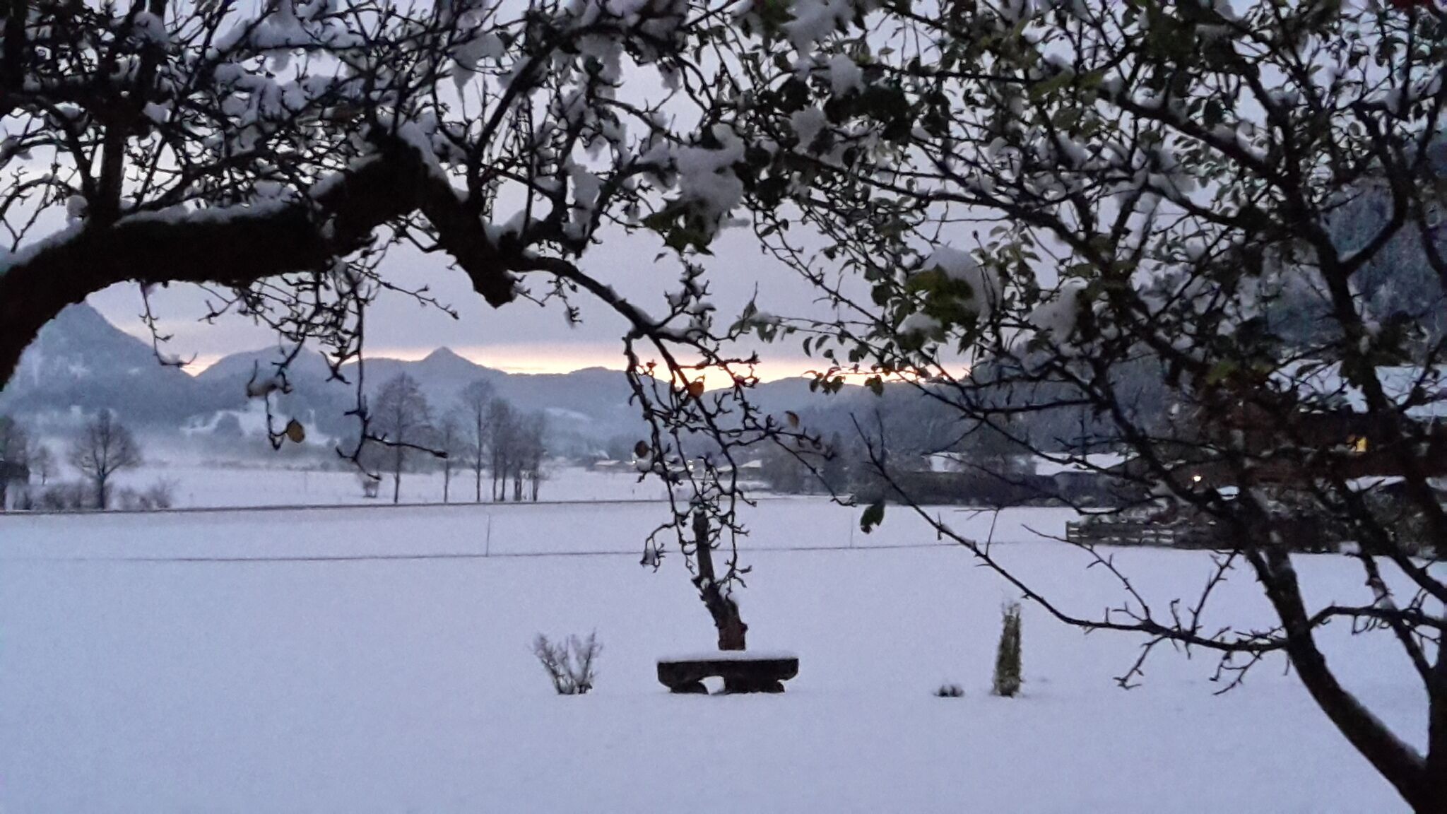 Un banc dans un paysage enneigé, avec une montagne en arrière-plan.