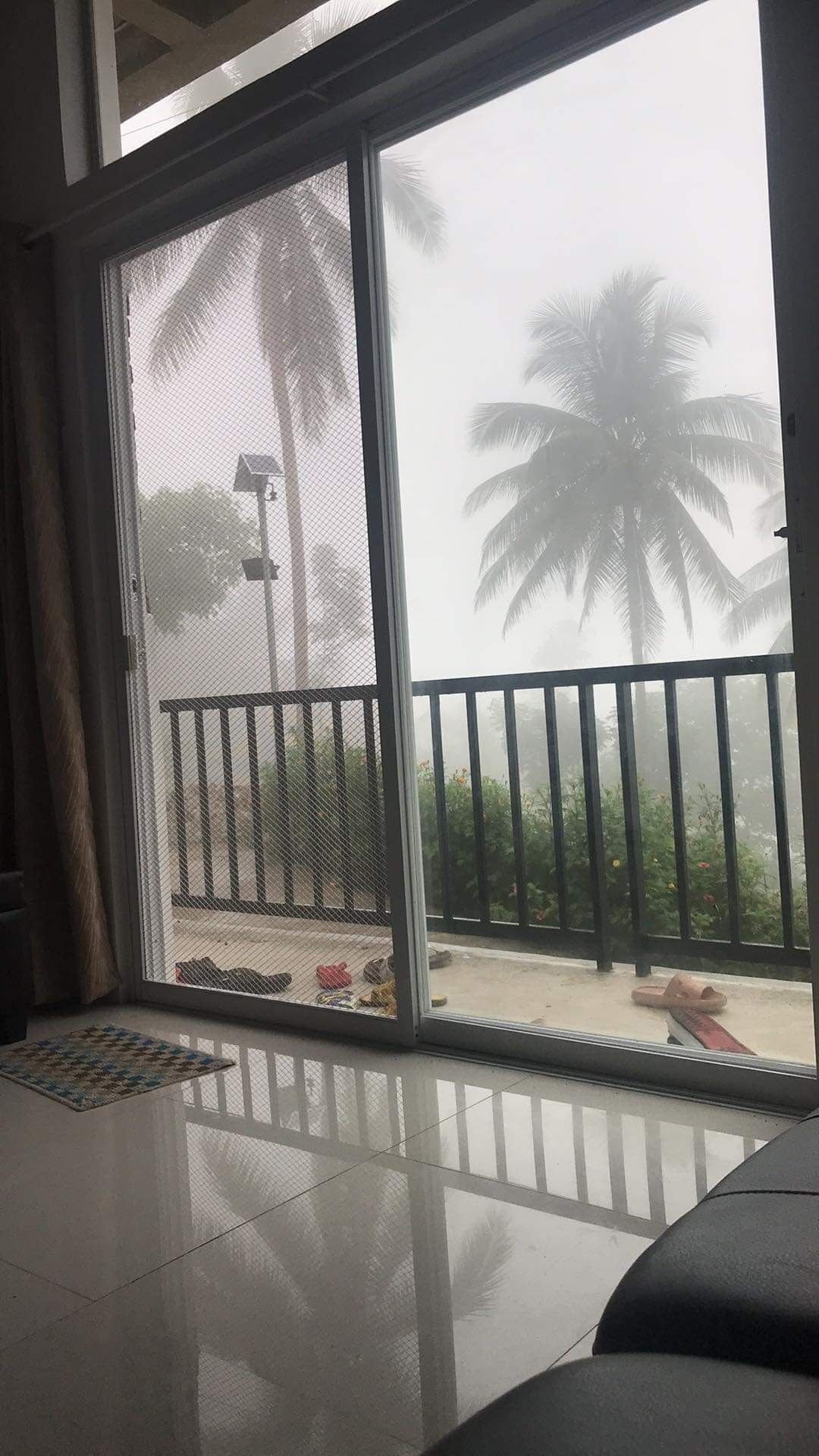 A room with a sliding glass door leading to a balcony with a view of palm trees and a street.