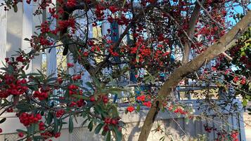 Family House, 3 Bedrooms, Non Smoking, 2 Bathrooms | 3 bedrooms, Egyptian cotton sheets, premium bedding, memory-foam beds